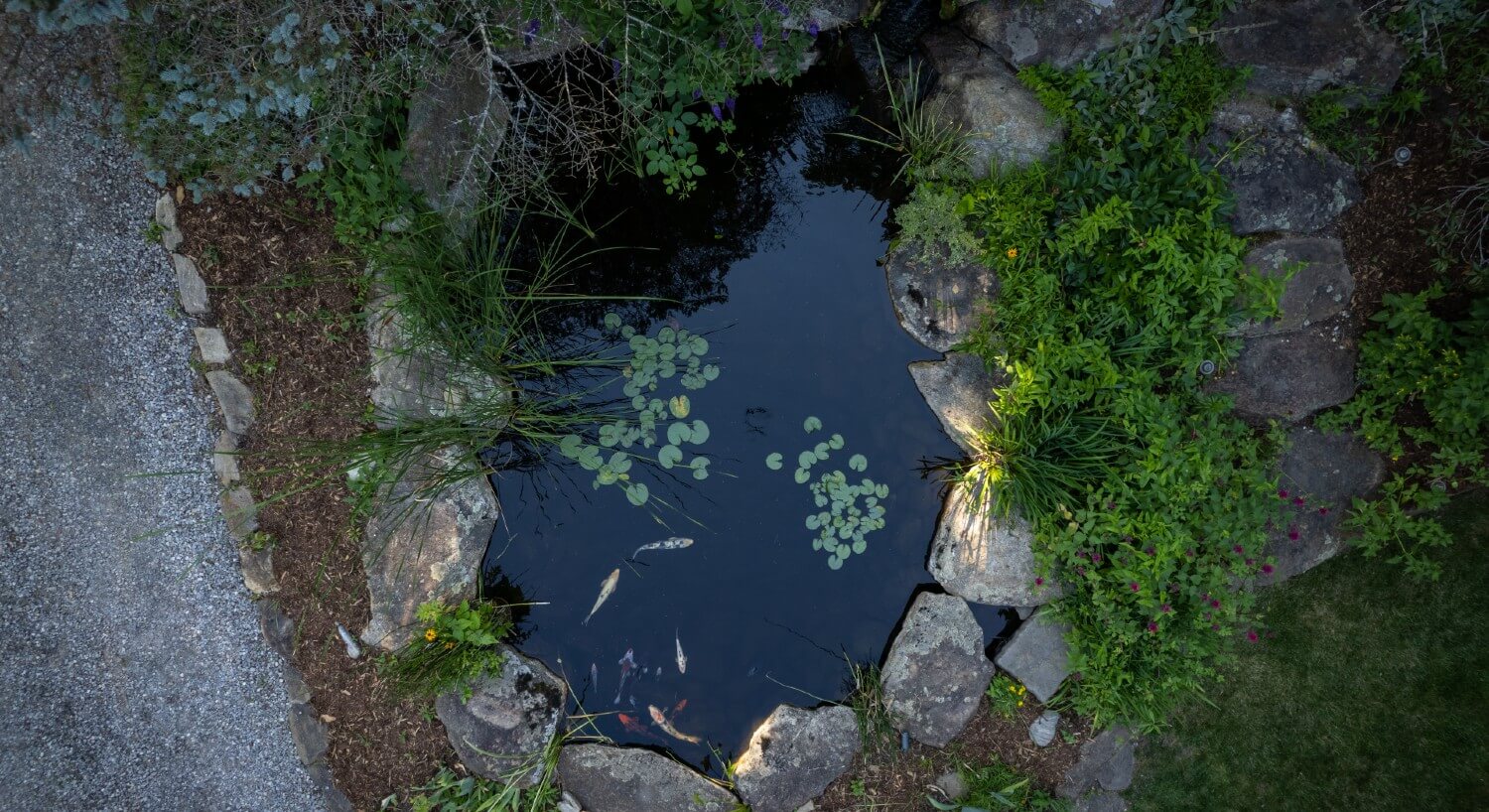 Small pond with lily pads surrounded by rocks and greenery